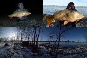 Canadian's carp by frozen weather